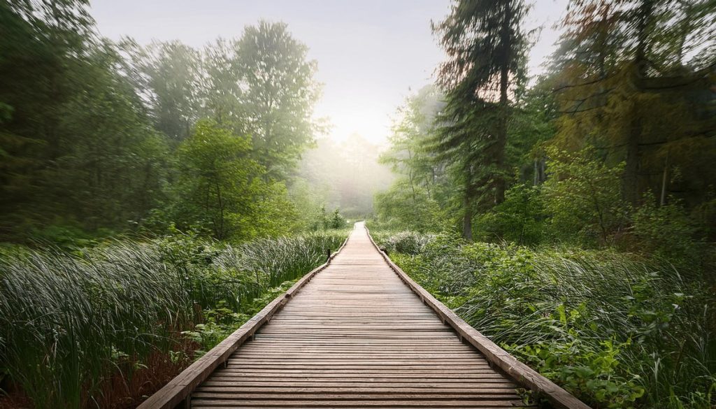 практичні кроки як перемогти тривогу